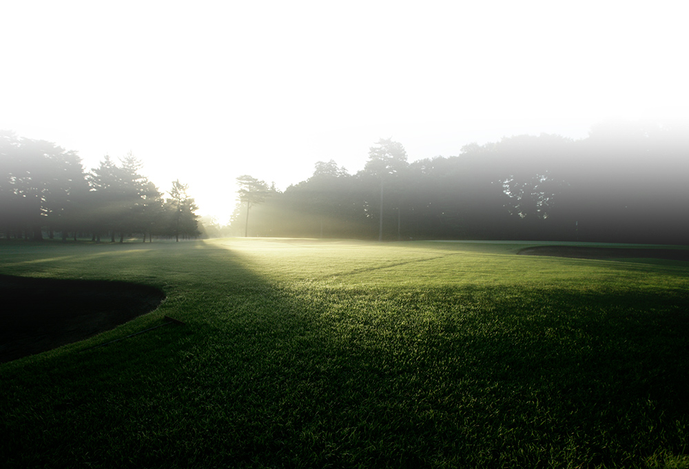 紫カントリークラブ あやめコース