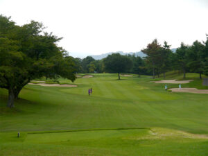大会・イベント風景